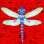 My Little Insect Jigsaws icon