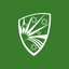Analyzer icon