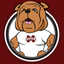 Bully's Kids Club icon