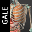 Gale Interactive Human Anatomy icon