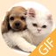 Pet Stickers - Cats & Dogs Animated Gif Stickers icon