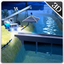 City Construction Dam Builder & Truck Driving Sim icon