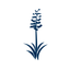 The Mirabel Club icon