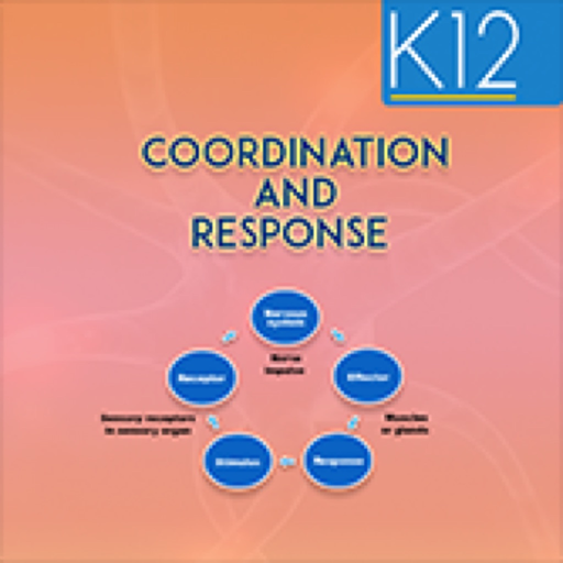 Coordination and Response app icon