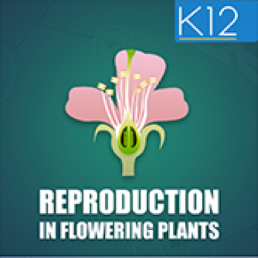 Reproduction-Flowering Plants app icon