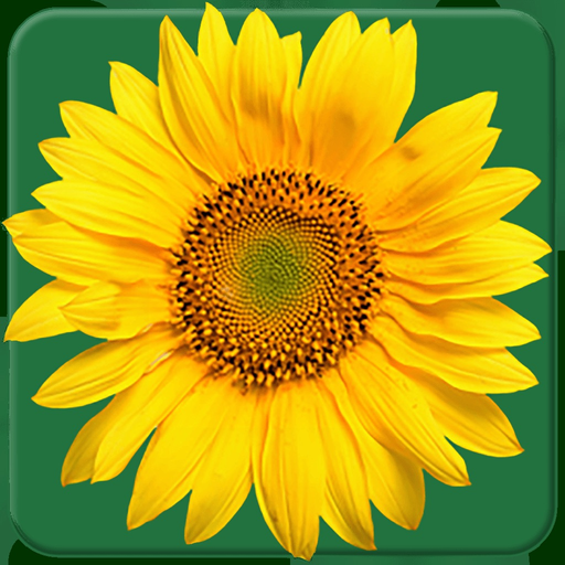 Calflora Observer Pro app icon