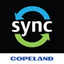 WR Sync icon