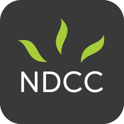 New Day Eastvale app icon