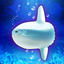 Aquarium Sunfish simulation game icon