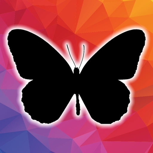 Learn shapes letters & words app icon