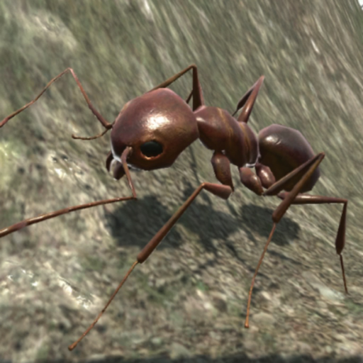 Ant Simulation 3D app icon