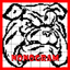 Nonogram 6 icon