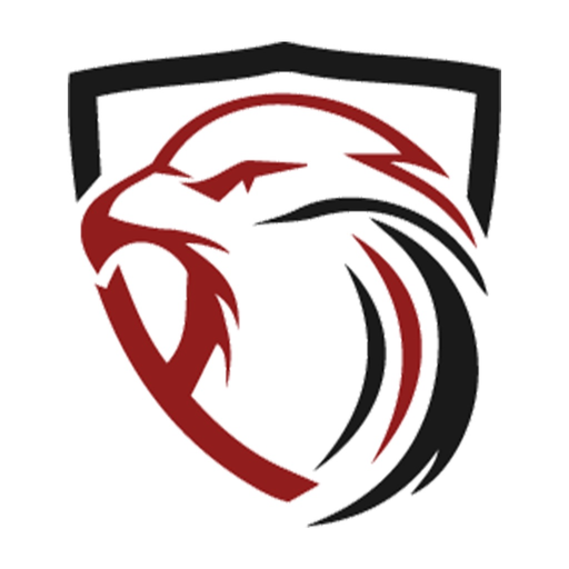 HawkCam app icon