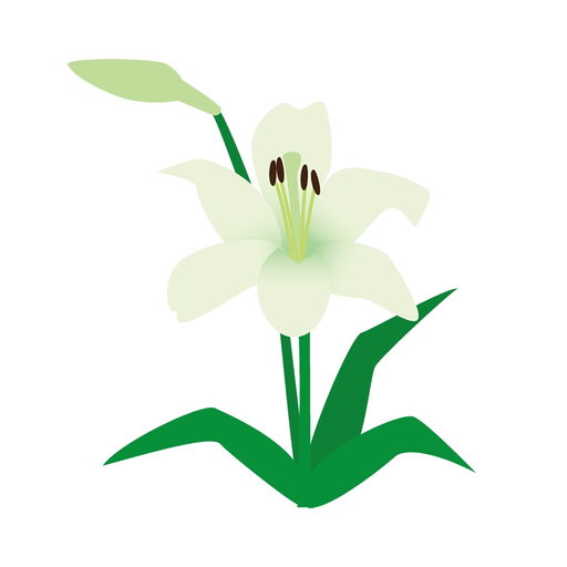 Sticker lily app icon