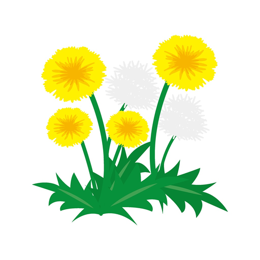 Sticker dandelion app icon
