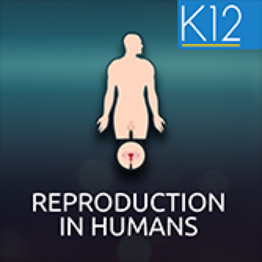 Reproduction in Humans app icon