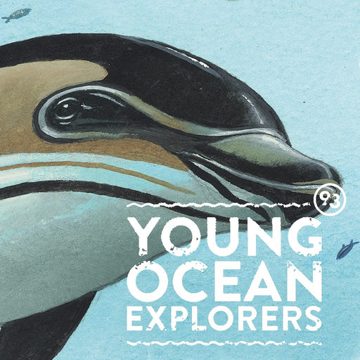 YOE - Explore the Gulf app icon