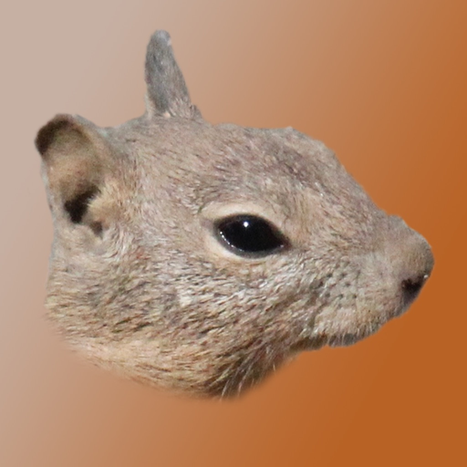 Good Morning-! app icon