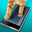 Running Track for Cat icon