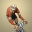 Flamme Rouge Companion icon