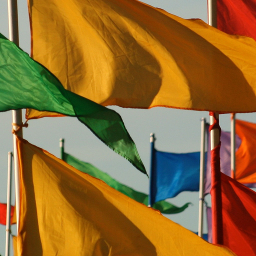 Guess The Flag - Fun Flag Guessing Game app icon