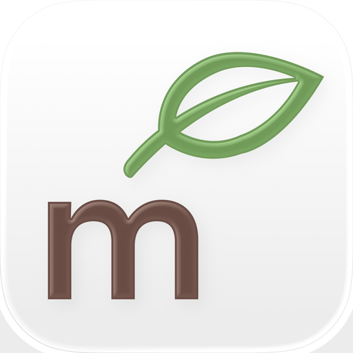 Metro Market app icon