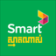 SmartNas icon
