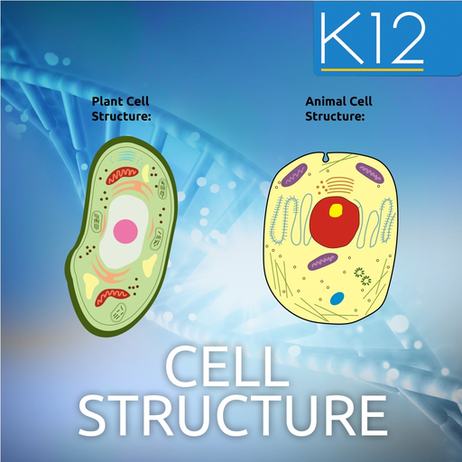 Biology Cell Structure app icon