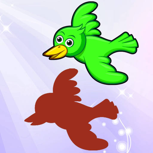 Birds of World Drag Drop and Match Shadow for kids app icon