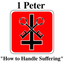 FirstPeter-Mem icon