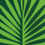 Arbolapp Canarias icon
