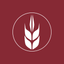 Harvest Vineyard Church icon