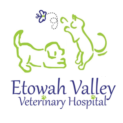 Etowah Valley Vet app icon