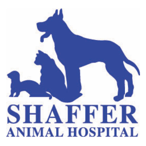 Shaffer Animal Hospital app icon