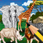 Animal Coloring Kingdom AR icon