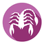 Scorpio Horoscope - Daily Zodiac, Astrology, Love icon