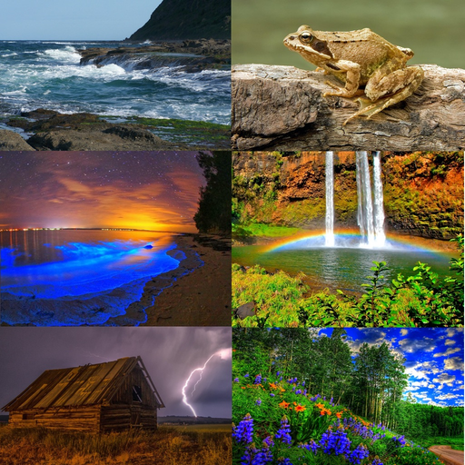 Natural Ambience Sounds app icon