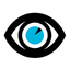 Silent Observer icon