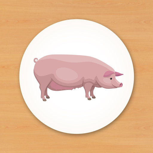 Animal Card Matching app icon