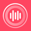 SoundWise icon