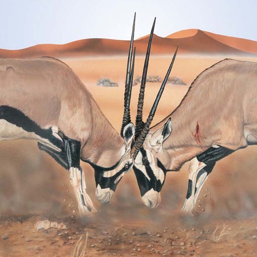 Mammals of the Southern African Subregion app icon