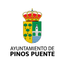 Pinos Puente icon