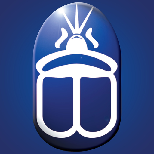 AmCham Egypt app icon