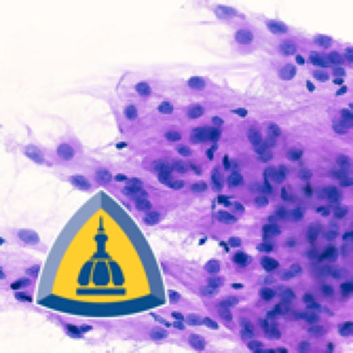 Surgical Neuropathology app icon