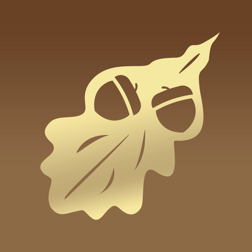 Dubrovka app icon