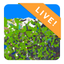 Pixel is Data – Live icon