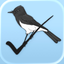 Birdathon icon