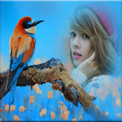 Bird Photo Frames app icon