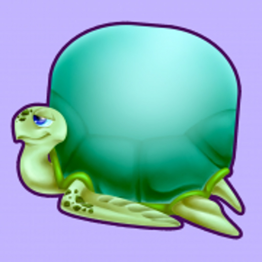 Turtle Time - Picture Memory app icon
