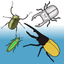 Dora-chan's Insect Collecting GO! icon